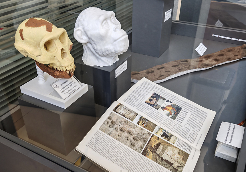 Las huellas de Laetoli, las pruebas del bipedismo más antiguas en homininos